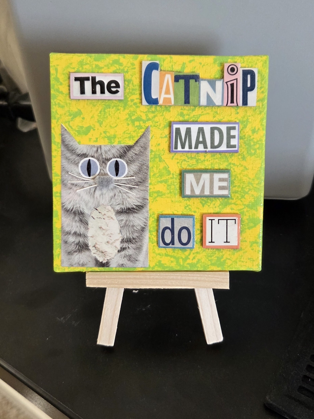 Catnip Made Me Do It Silly Cat Canvas